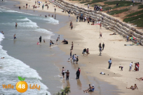 المشهراوي يطالب رئيس البلدية بالاعتذار عن استخفافه بمعطيات حوادث الغرق في يافا وتل ابيب